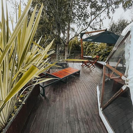 Domus Glamping Guatape酒店 外观 照片