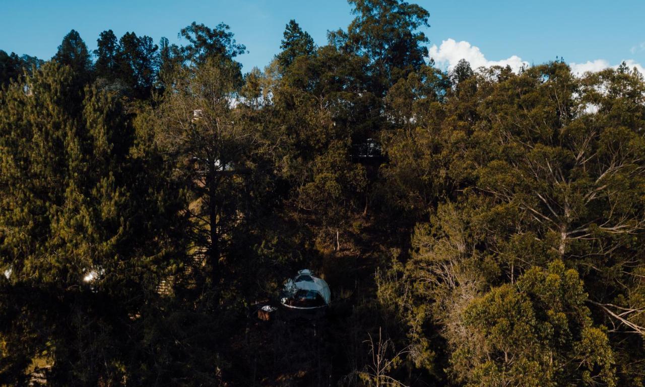 Domus Glamping Guatape酒店 外观 照片