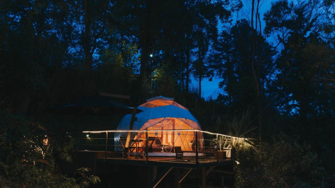 Domus Glamping Guatape酒店 外观 照片